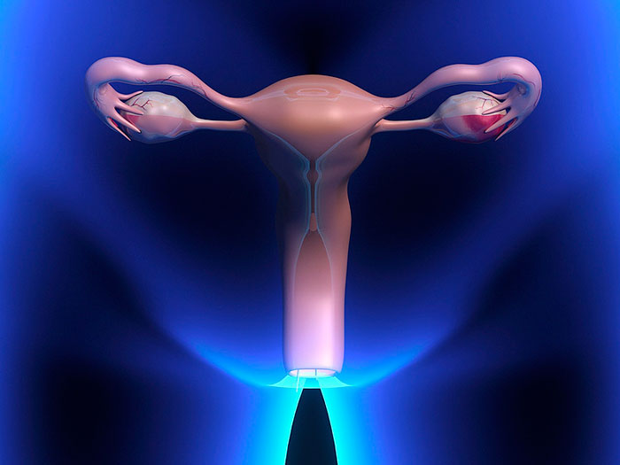 Você conhece a Fisioterapia Uroginecológica Funcional?